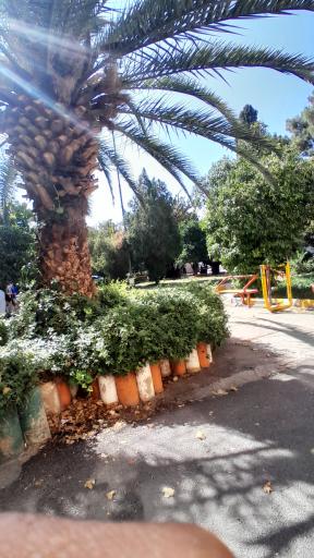 هنرستان نمونه دولتی طالقانی