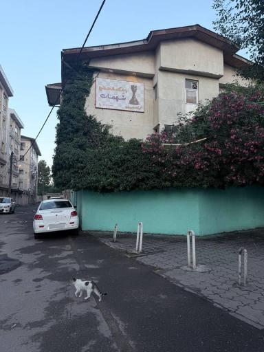 عکس باشگاه شطرنج شهمات رشت