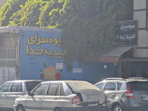 عکس میوه سرای امید به خدا