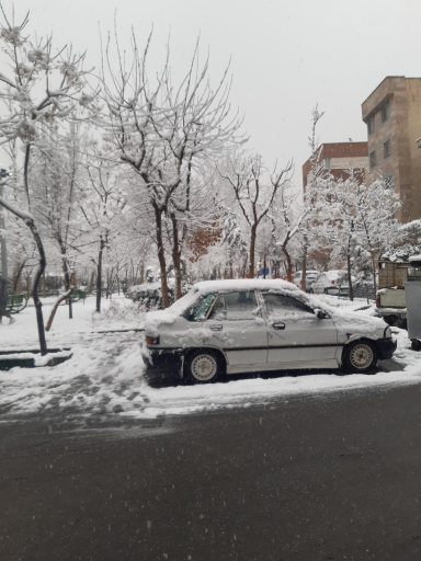 عکس میدان 85