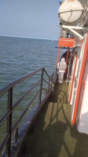 کشتی تفریحی سی بوی 