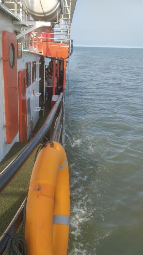 کشتی تفریحی سی بوی 