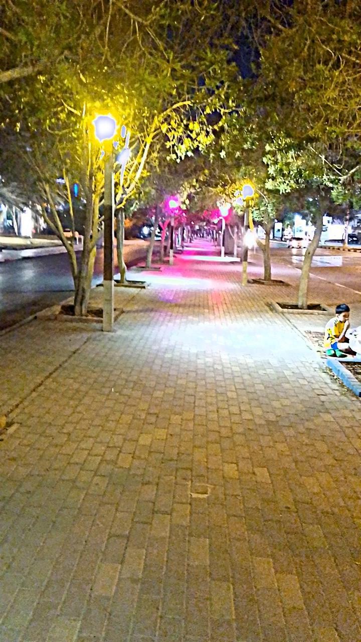 عکس پارک نخل زرین