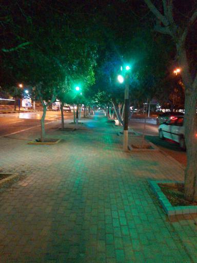 عکس پارک نخل زرین