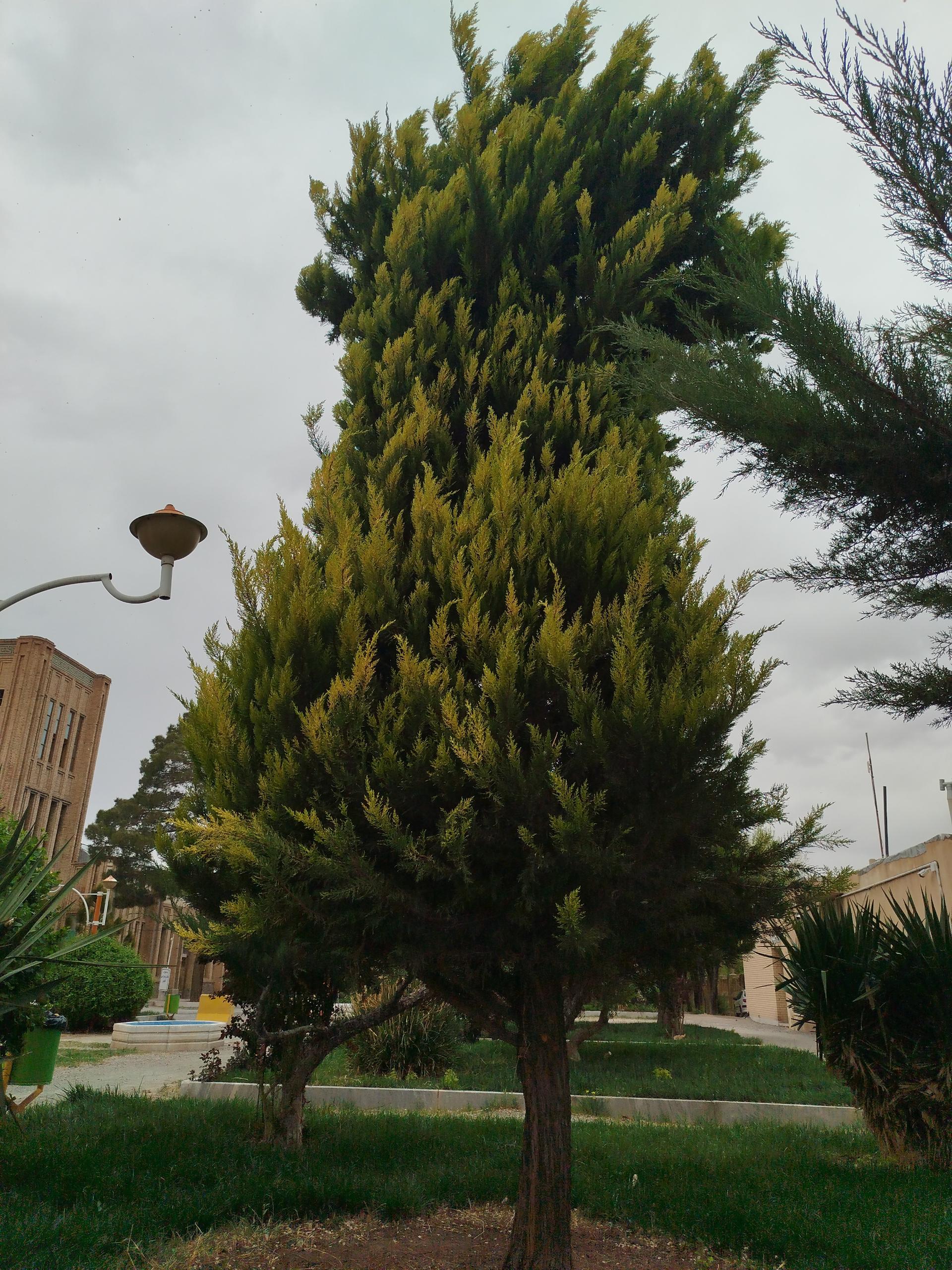 عکس کارخانه تاریخی نوین 