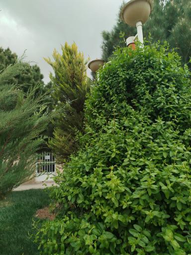 عکس کارخانه تاریخی نوین 