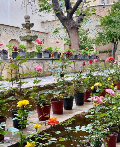 عکس هتل آریانا