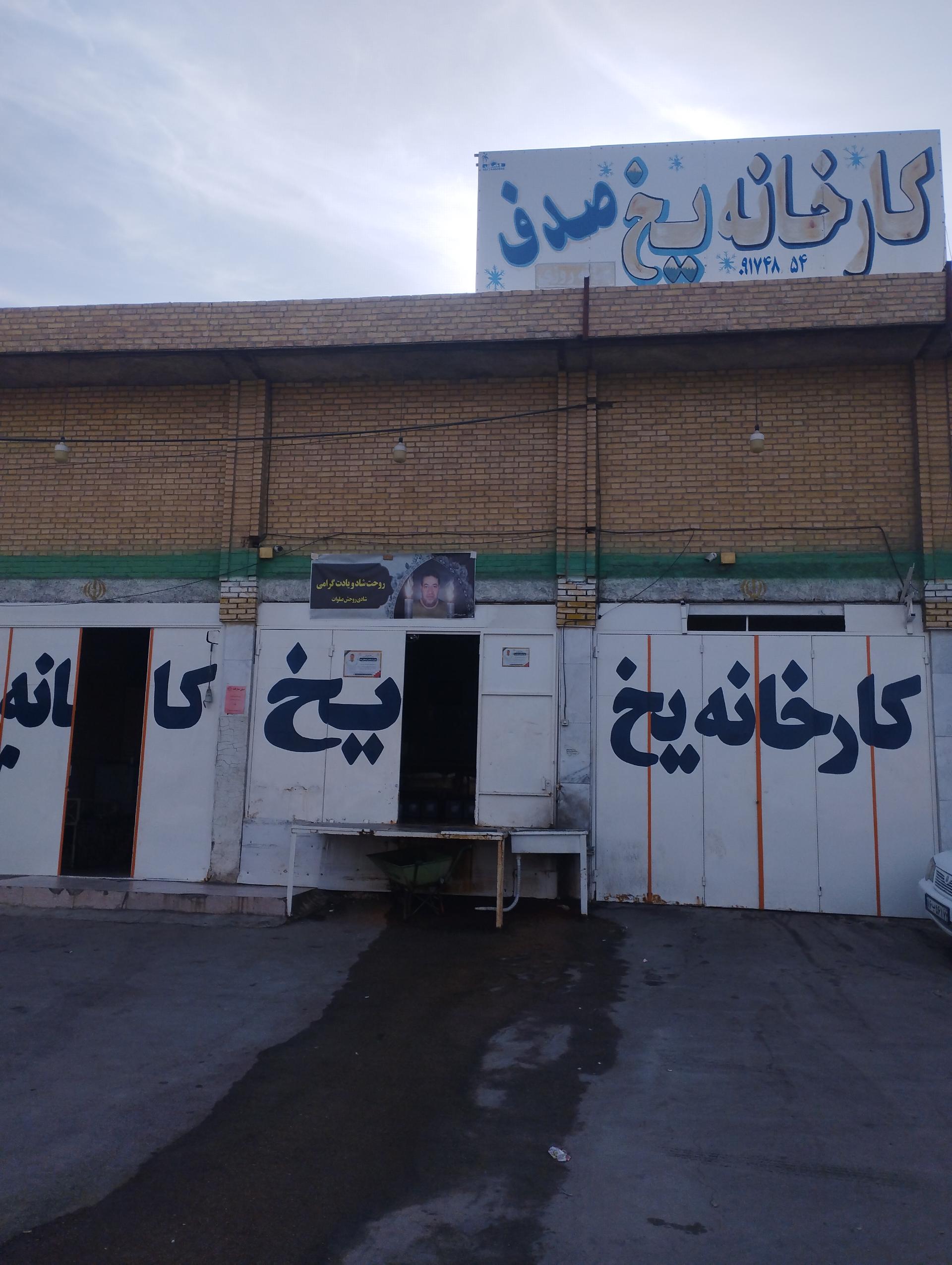 عکس یخ سازی صدف