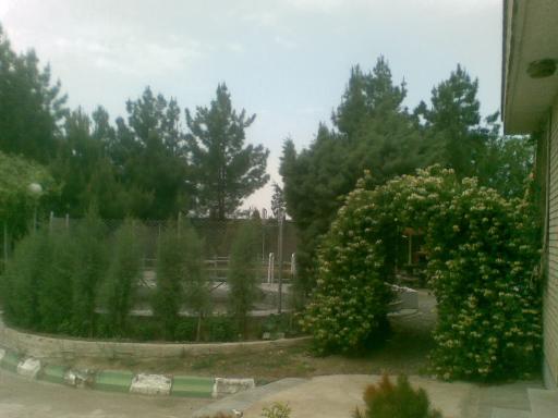 عکس شرکت بوجاری زرین