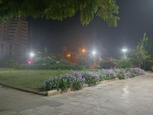 عکس پارک نخل زرین