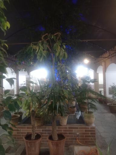 عکس رستوران سنتی حامد