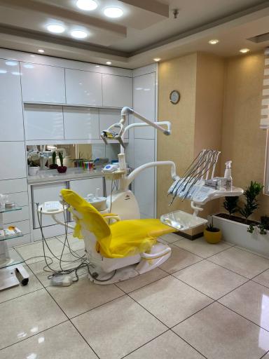 دکتر زهرا ابراهیم وند دیبازر