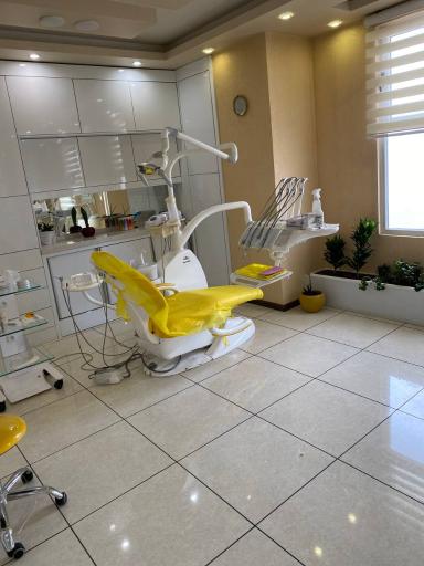 دکتر زهرا ابراهیم وند دیبازر