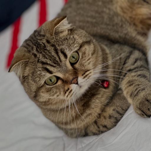 عکس کلینیک اختصاصی حیوانات خانگی دکتر مجید الهی