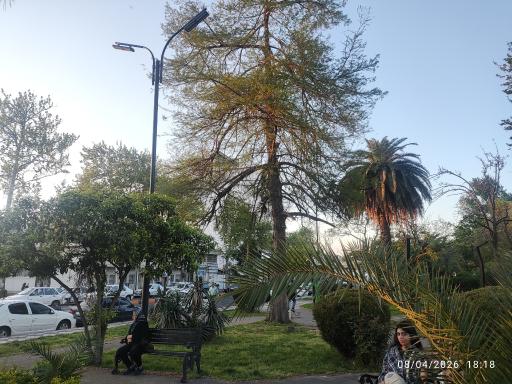 عکس پارک لاهیجان