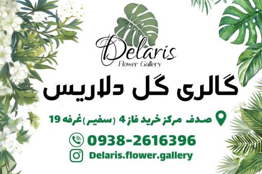 عکس گالری گل دلاریس