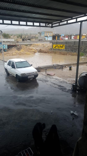 عکس کارواش حدادی