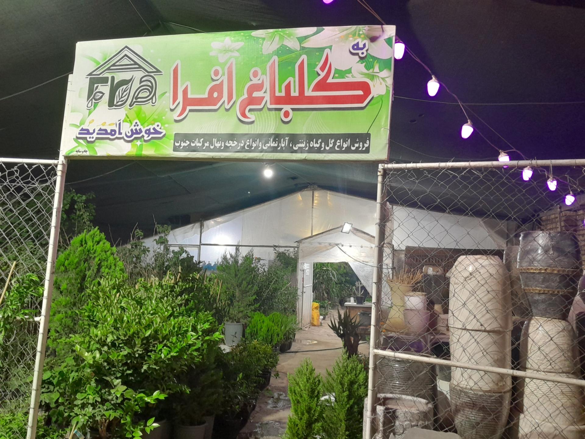 عکس گلباغ افرا