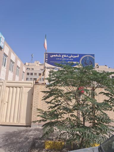 عکس آموزش دفاع شخصی بادیگارد