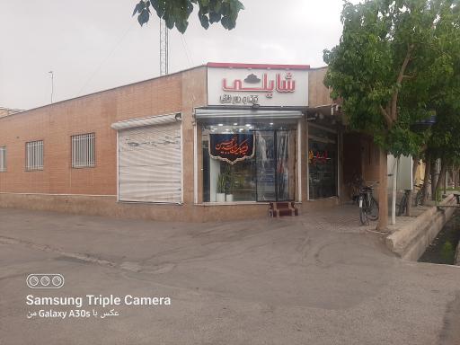 عکس کیک و دسر شایلی