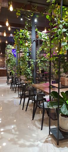 عکس پیتزا سیب 360 (شعبه شهریار)