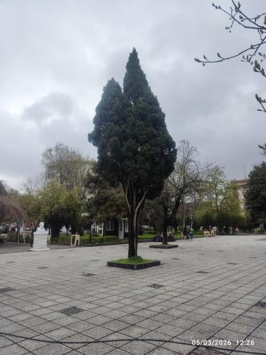 عکس بوستان سبزه میدان