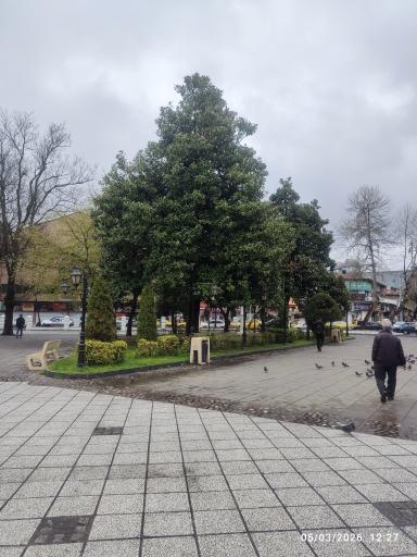 عکس بوستان سبزه میدان