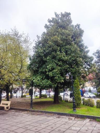 عکس بوستان سبزه میدان