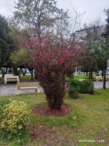 عکس بوستان سبزه میدان