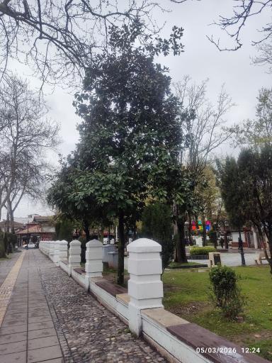 عکس بوستان سبزه میدان
