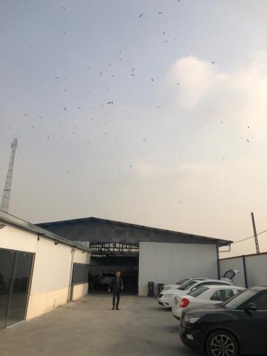 عکس کلینیک خودرو دانش کار