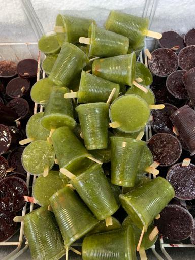 عکس اسکیمو وحیدخان