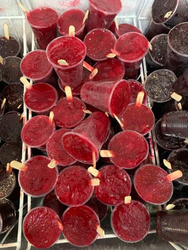 عکس اسکیمو وحیدخان