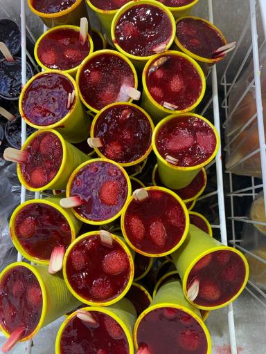 عکس اسکیمو وحیدخان