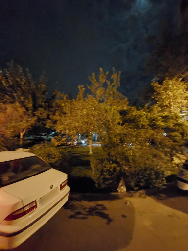 عکس میدان ششم