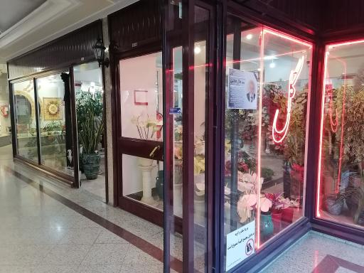 عکس گل فروشی رز