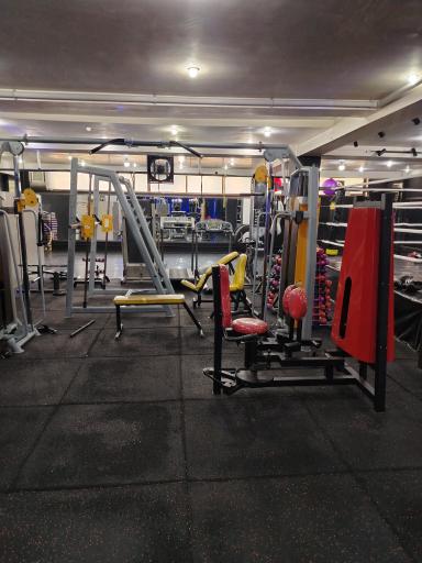 عکس باشگاه ورزشی مکس فیت