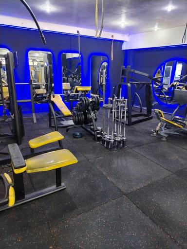 عکس باشگاه ورزشی مکس فیت