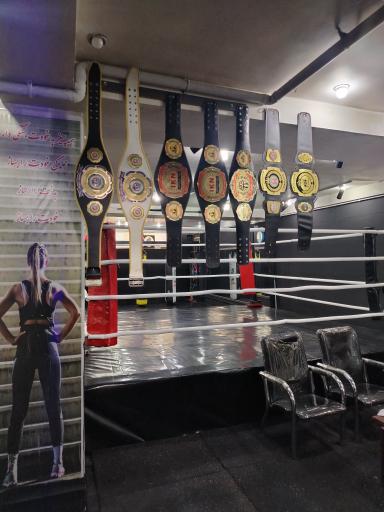 عکس باشگاه ورزشی مکس فیت