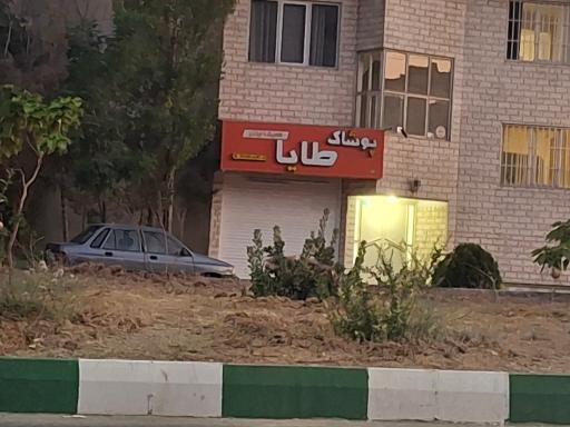 عکس پوشاک طایا
