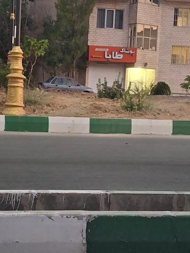 عکس پوشاک طایا
