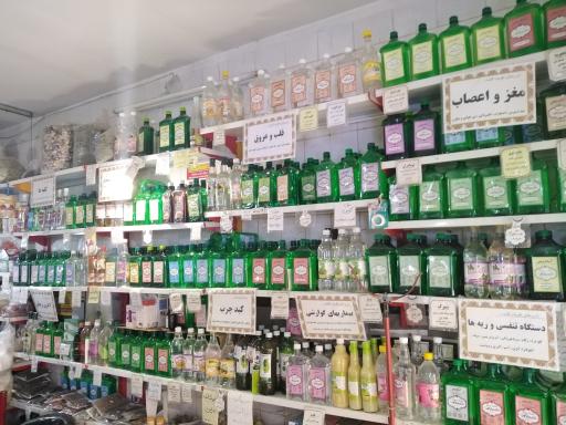 عکس گیاهان دارویی همیشه بهار
