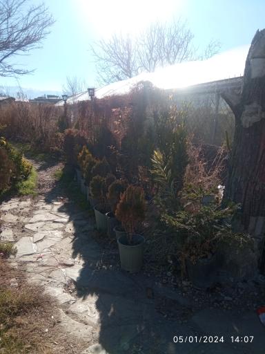 عکس گلخانه