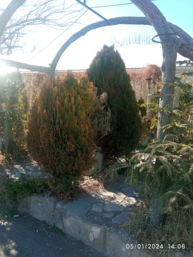 عکس گلخانه