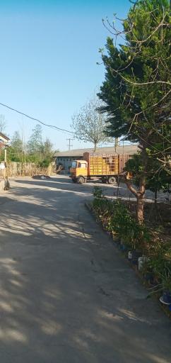 عکس مرغداری رنگین تورینگ خمام