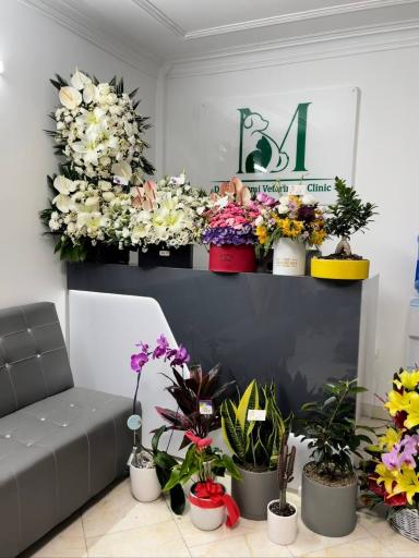 عکس کلینیک دامپزشکی دکتر معصومی