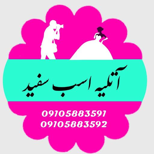 عکس آتلیه اسب سفید