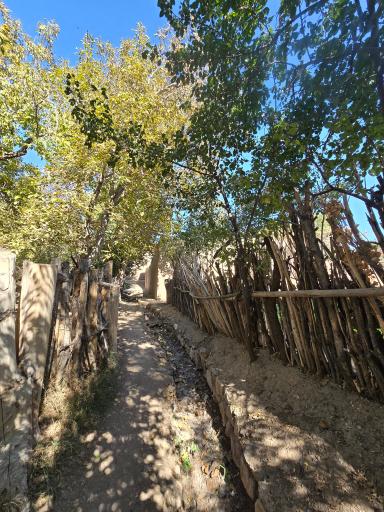 عکس اقامتگاه بومگردی توریستی باغدشت