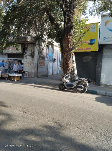 عکس صافکاری نخست