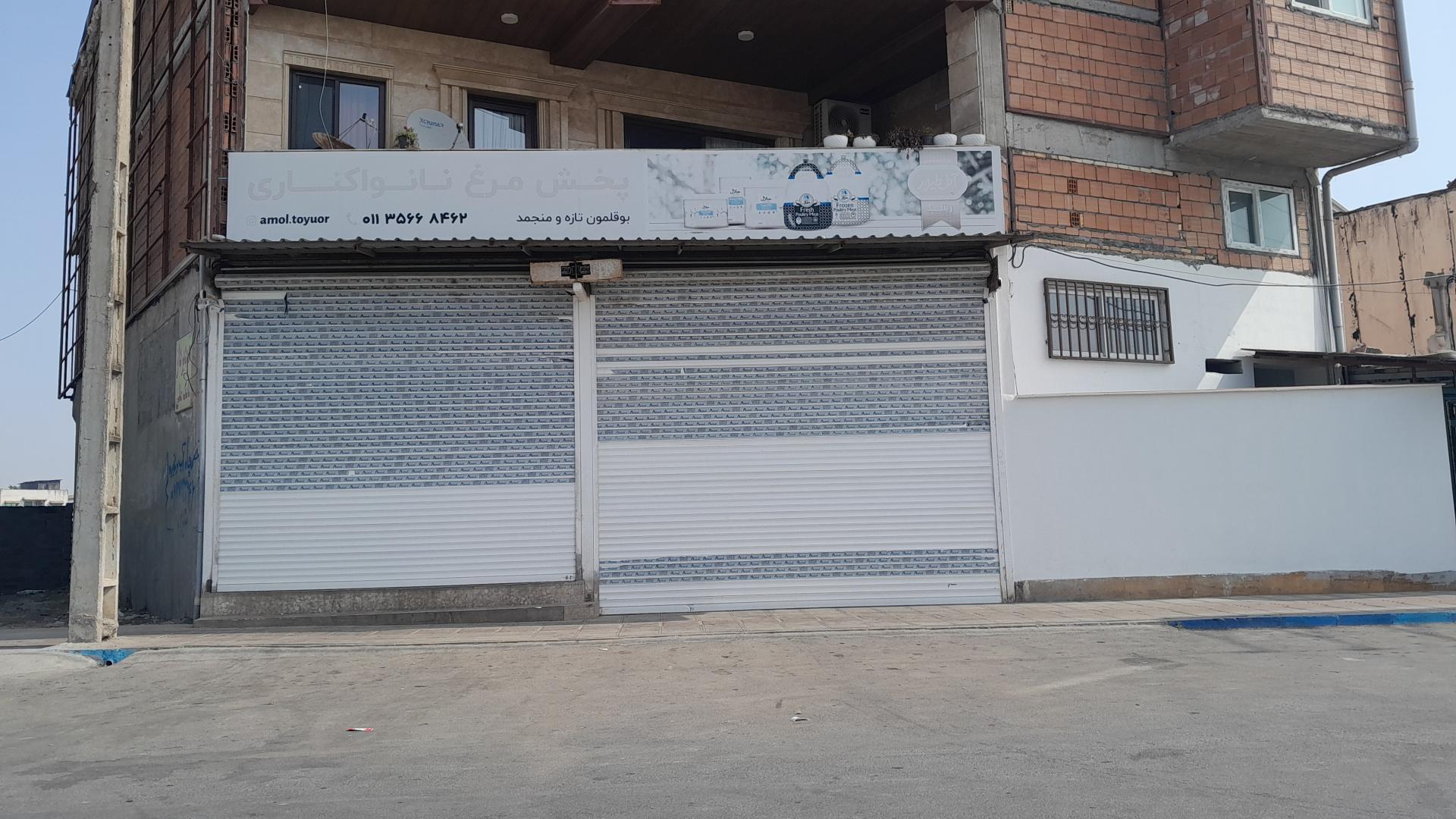 عکس پخش مرغ زربال نانواکناری